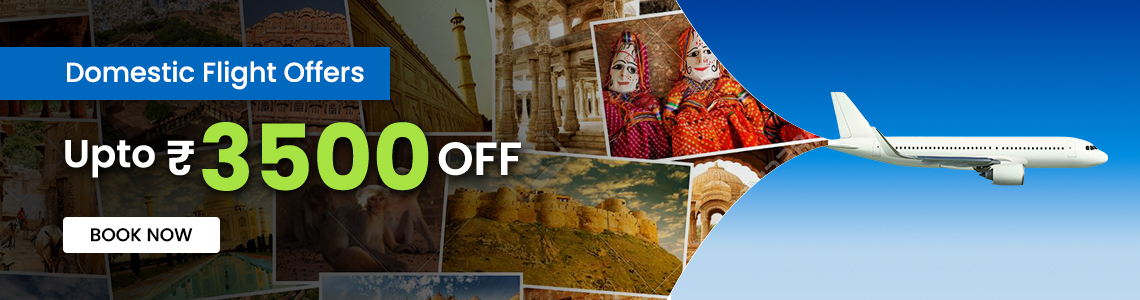Domestic Flights Coupons